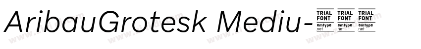 AribauGrotesk Mediu字体转换